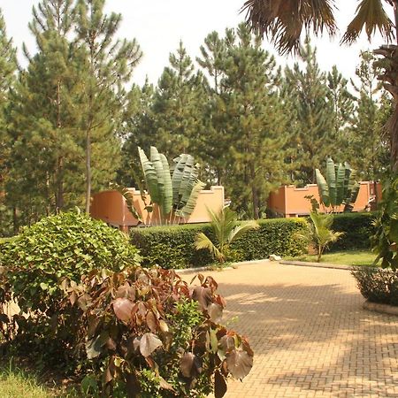 Saltek Forest Cottages Masindi Exteriör bild