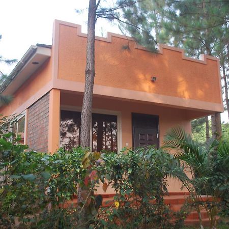 Saltek Forest Cottages Masindi Exteriör bild