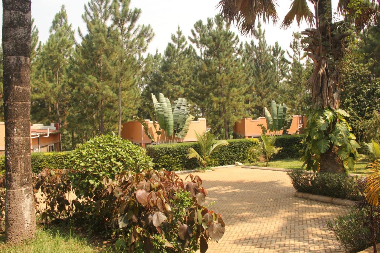 Saltek Forest Cottages Masindi Exteriör bild