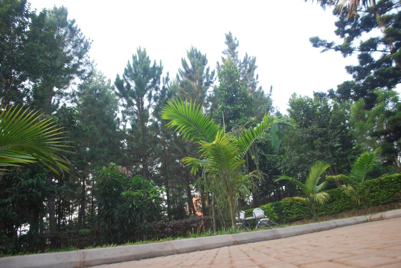 Saltek Forest Cottages Masindi Exteriör bild