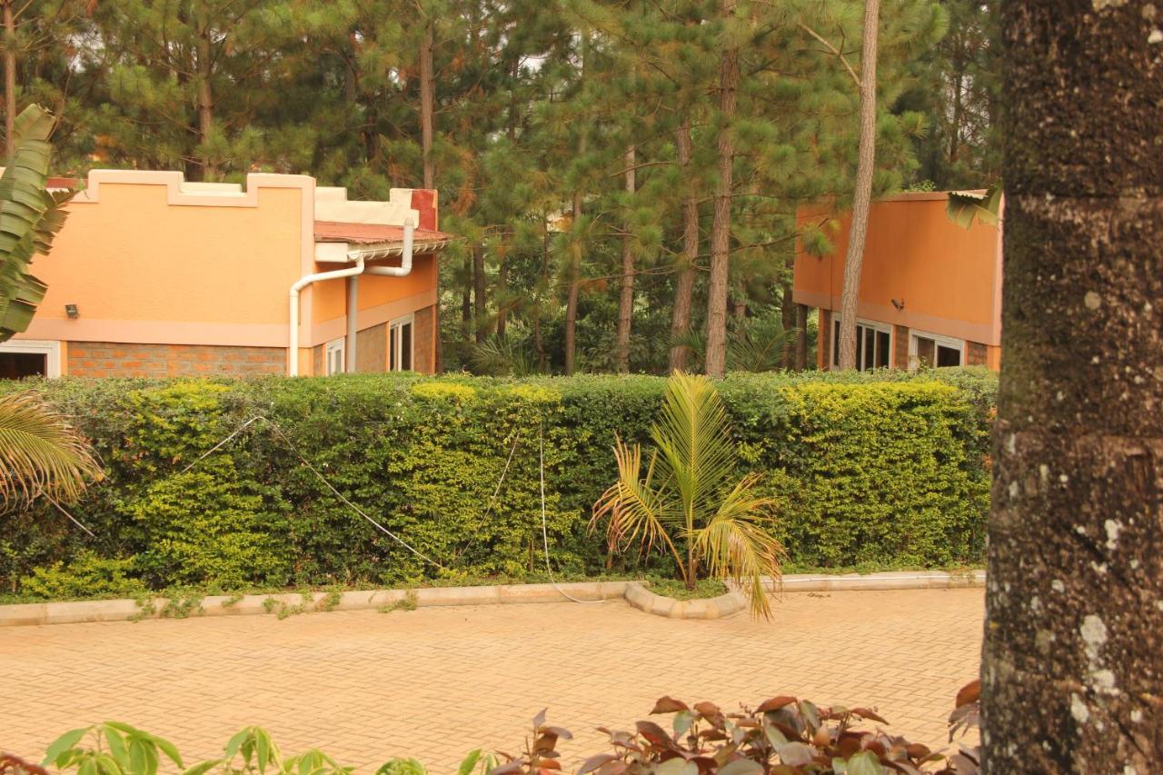 Saltek Forest Cottages Masindi Exteriör bild