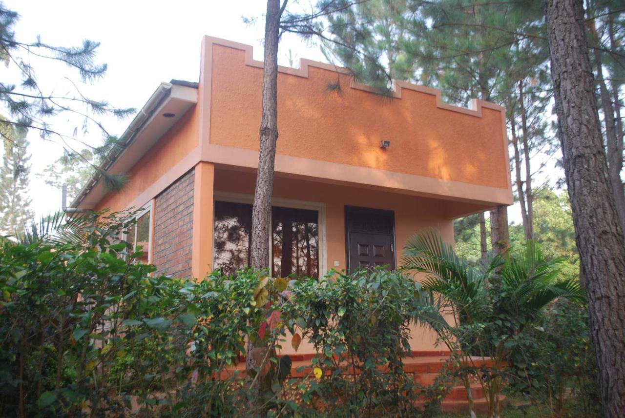 Saltek Forest Cottages Masindi Exteriör bild