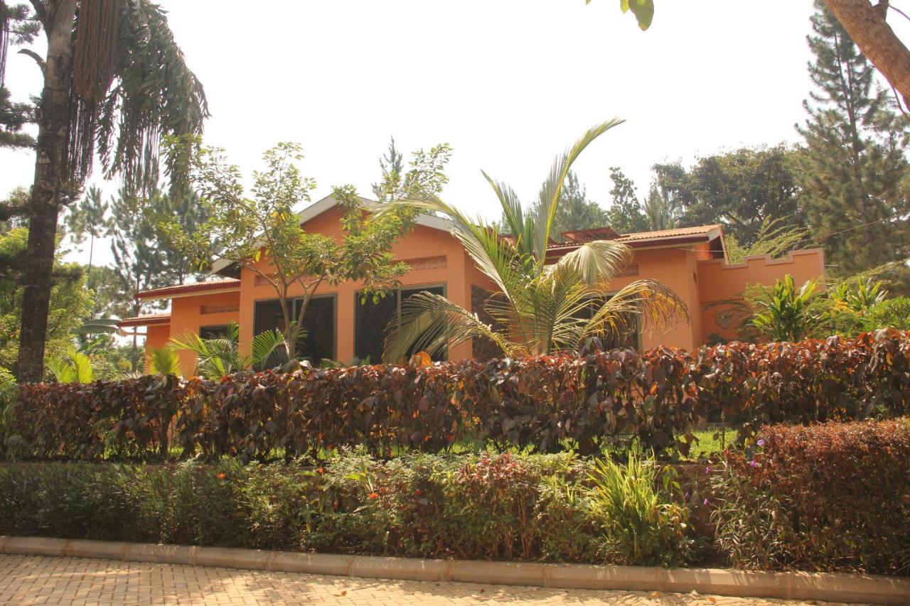 Saltek Forest Cottages Masindi Exteriör bild